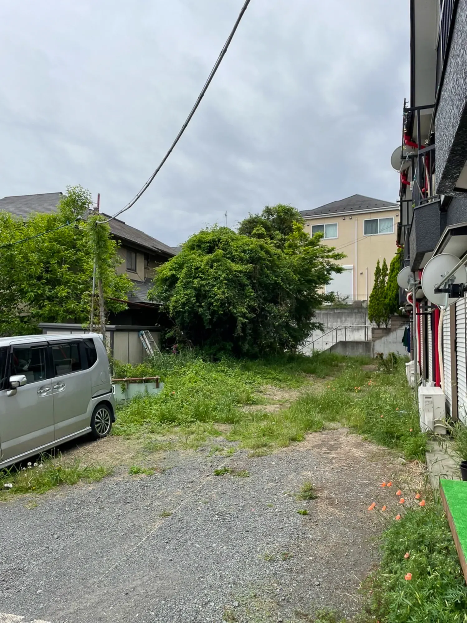 草で覆われた空き地を駐車場として
