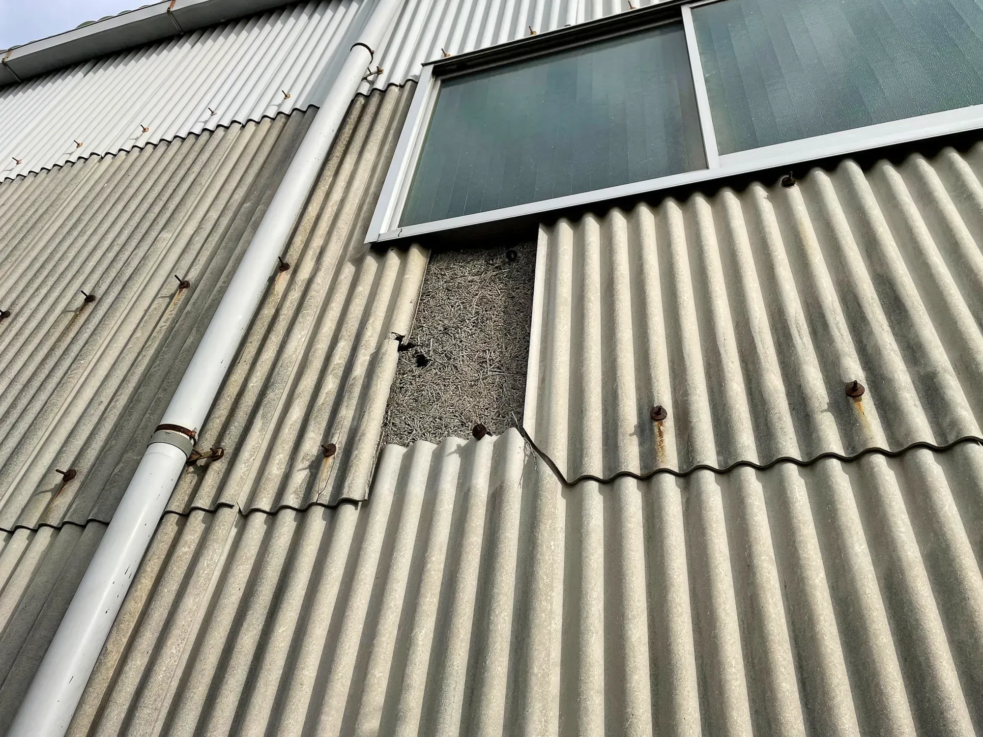 台風で破損した外壁の補修を