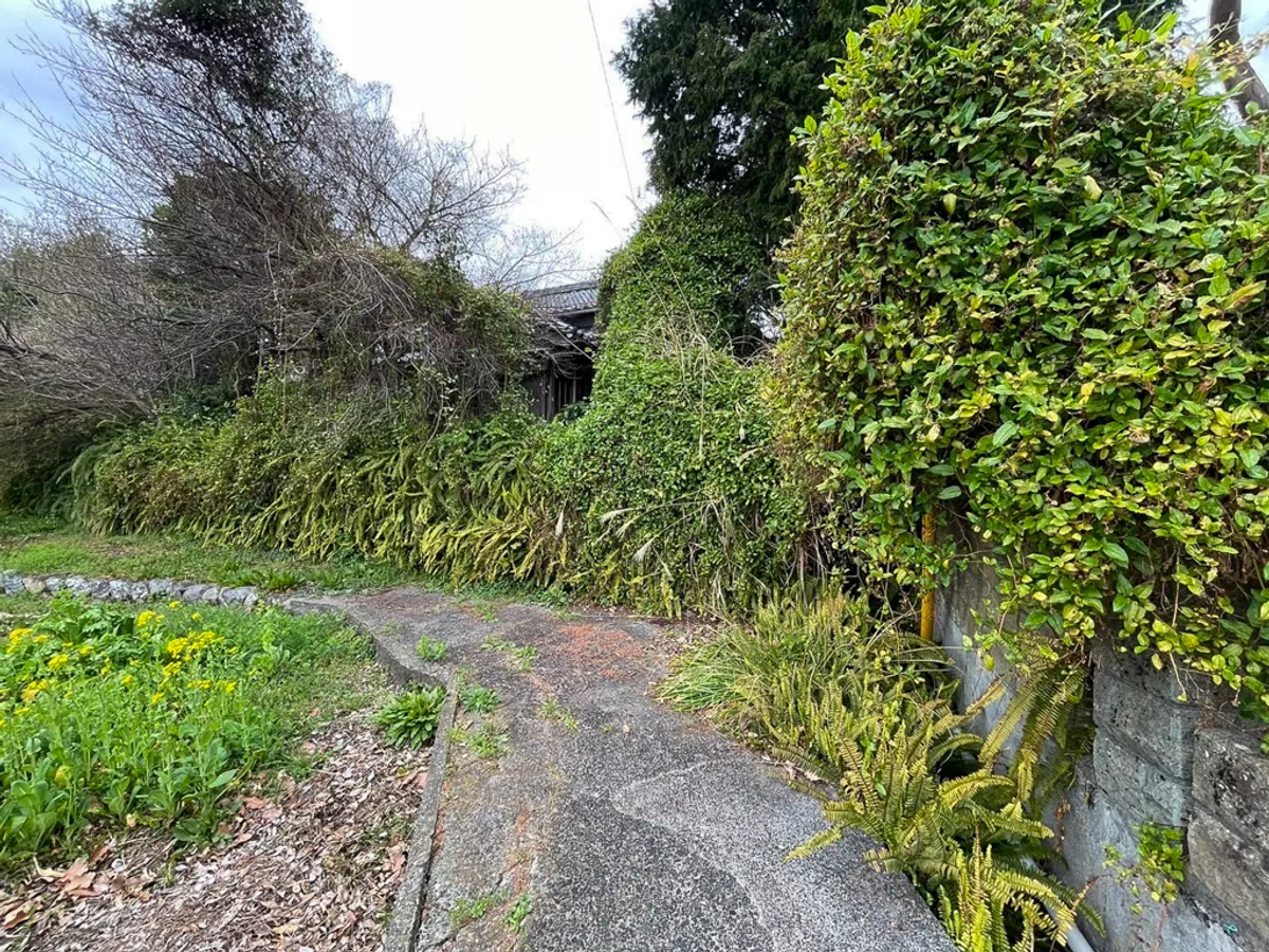 解体作業の様子 - image-59.jpg